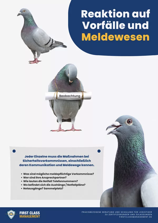 Poster Sicherheitskultur zum Thema: Meldewesen