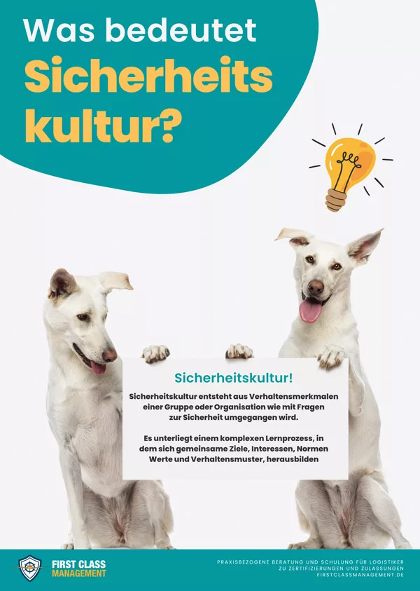 Poster Sicherheitskultur zum Thema: Was bedeutet Sicherheitskultur?